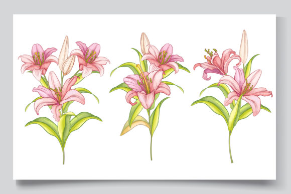Download Hand Drawn Floral Wedding Card Set - Hand drawn floral Collection