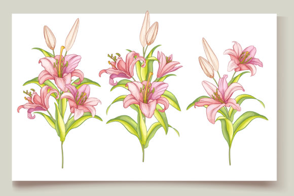 Download Hand Drawn Floral Invitation Card Set - Hand drawn floral Collection