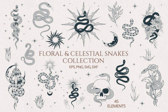 Download Hand Drawn Floral &amp; Celestial Snake Set - Hand drawn floral Collection