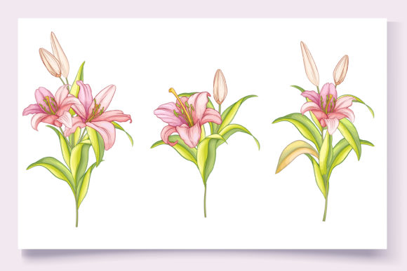Download Hand Drawn Floral Wedding Card Set - Hand drawn floral Collection